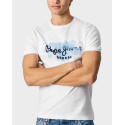 PEPE JEANS GOLDERS N PAINT EFFECT T-SHIRT WITH LOGO - PM508105 - ΛΑΧΑΝΙ