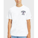 Tommy Jeans Homespun College Ανδρικό T-Shirt - DM0DM12414 - ΜΠΛΕ