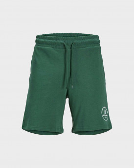 JACK&JONES ΑΝΔΡΙΚΗ ΒΕΡΜΟΥΔΑ ΚΑΝΟΝΙΚΗ ΓΡΑΜΜΗ 100% ΒΑΜΒΑΚΙ - 12249922 - ΠΡΑΣΙΝΟ