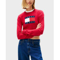 TOMMY JEANS ΓΥΝΑΙΚΕΙΟ ΠΟΥΛΟΒΕΡ CROPPED - DW0DW21690 - ΜΑΥΡΟ