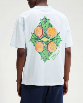 ELLESSE THE CITRUS ΑΝΔΡΙΚΗ ΚΟΝΤΟΜΑΝΙΚΗ ΜΠΛΟΥΖΑ - SHD23805 - ΓΑΛΑΖΙΟ
