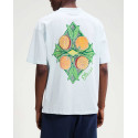 ELLESSE THE CITRUS ΑΝΔΡΙΚΗ ΚΟΝΤΟΜΑΝΙΚΗ ΜΠΛΟΥΖΑ - SHD23805 - ΕΚΡΟΥ