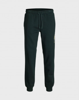 JACK & JONES GORDON JADE ΑΝΔΡΙΚΗ ΦΟΡΜΑ - 12299124 - ΠΡΑΣΙΝΟ